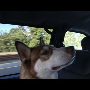 Meet your Posher, Angel